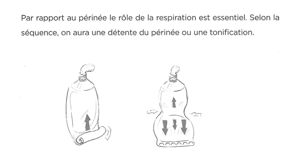 Pressions exercées lors de la contraction du transverse de l'abdomen et du périnée