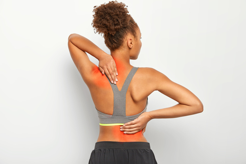 Musculation du dos : les 3 meilleurs exercices à faire à la maison : Femme  Actuelle Le MAG