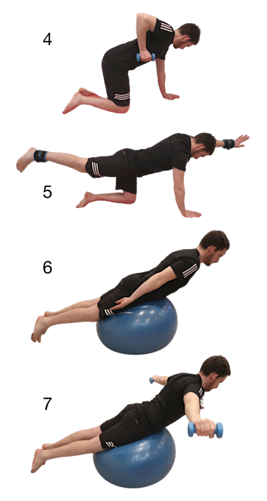 4 exercices avec haltères et ballon pour travailler les muscles du dos chez soi